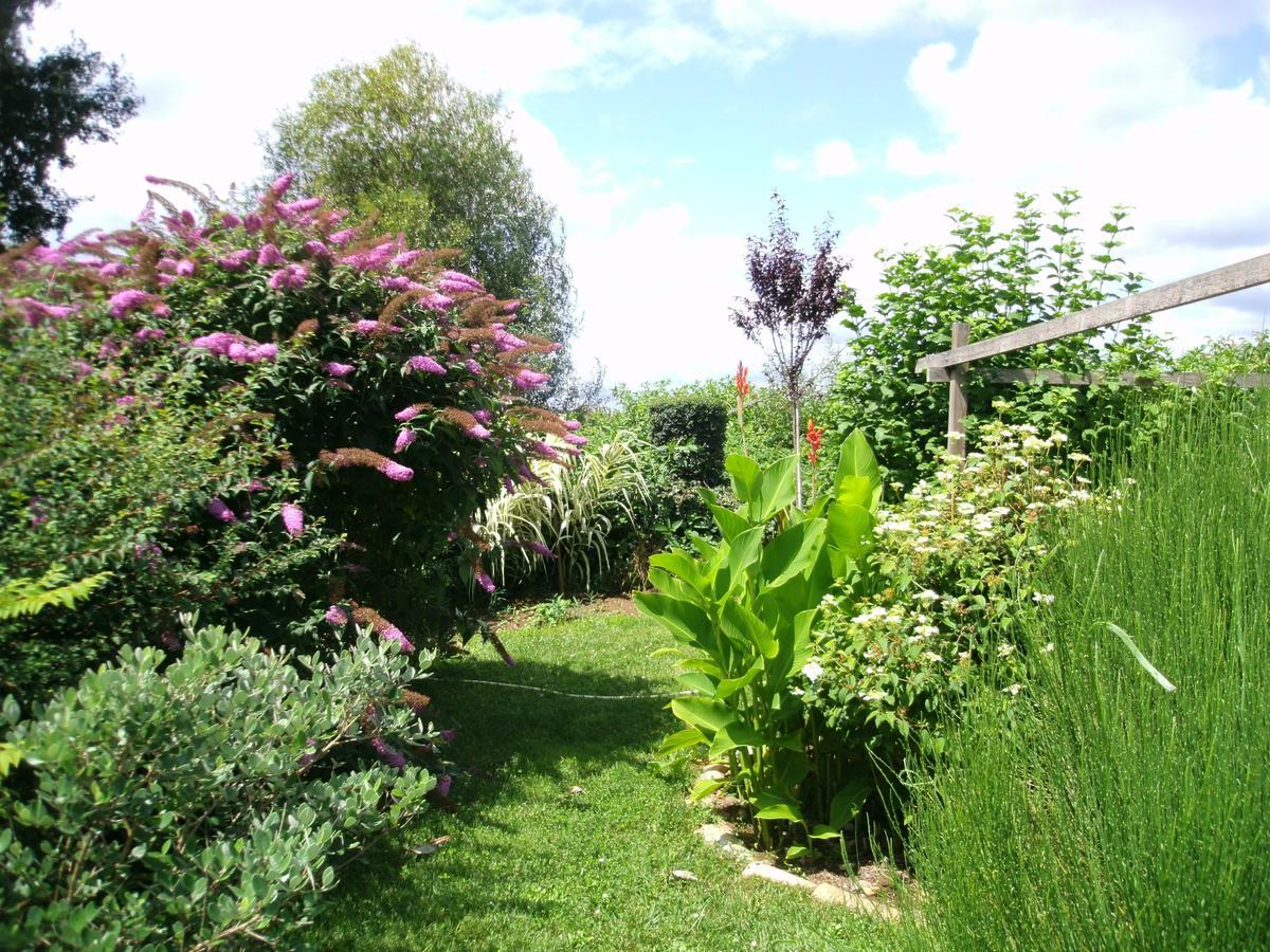 Le Bord De L'Eau Bed and Breakfast Sainte-Terre Buitenkant foto